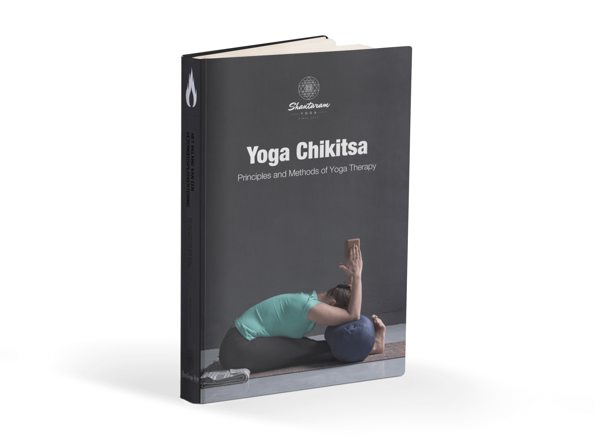 Yoga Chikitsa - Priciples and Methods of Yoga Therapy