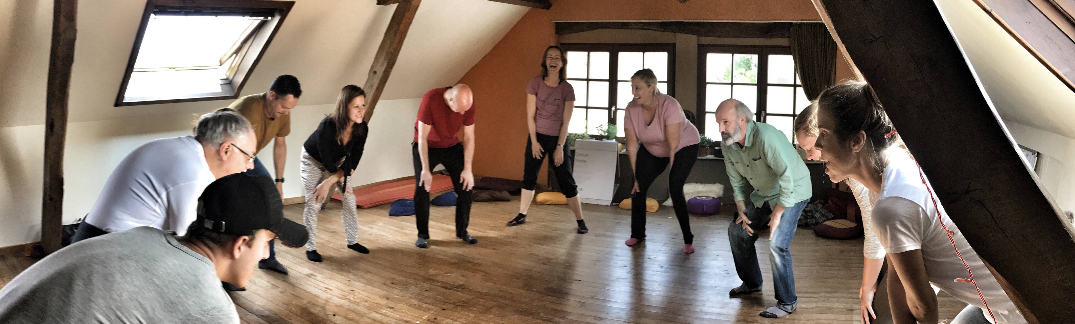 Shantaram Yogafest 2017 - 5 elementen dansworkshop