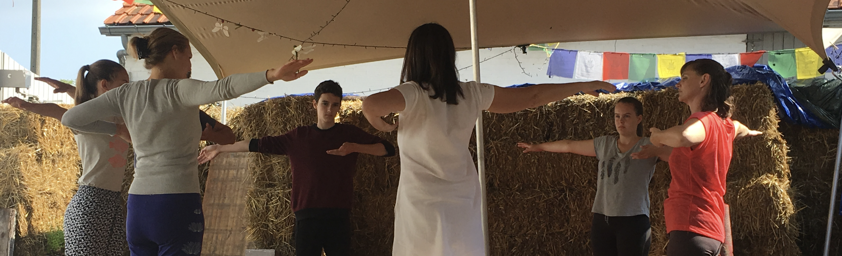 Shantaram Yogafest 2017 - 5 elementen dansworkshop