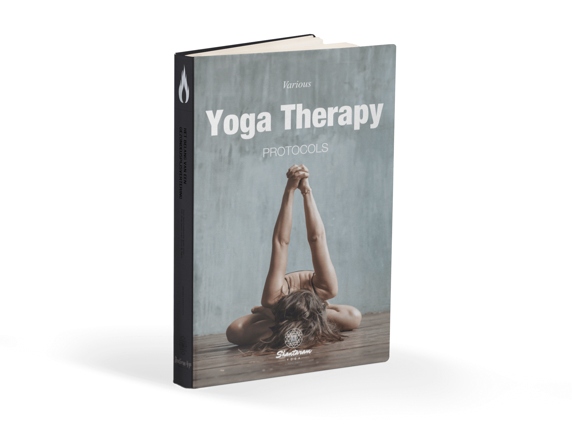 Various Yoga Therapy Protocols