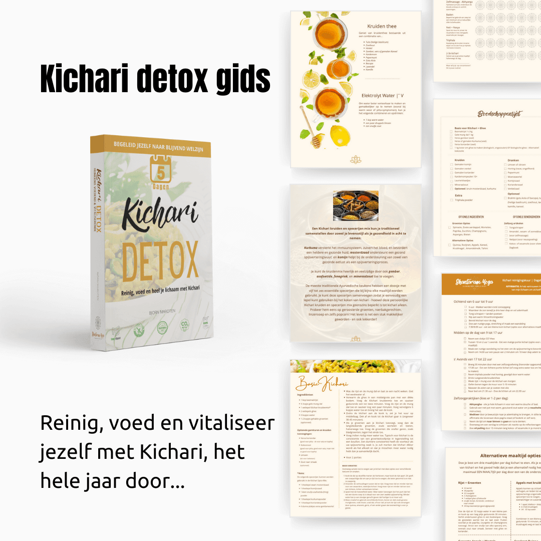 Kichari detox gids